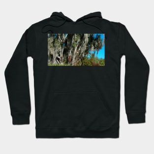 Fall into Central Florida Hoodie